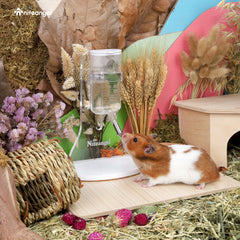 Niteangel 80ml Hamster Water Bottle with Stand