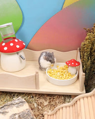 Niteangel Hamster Snack & Treats Toy - Small Animal Natural Treat for Dwarf Syrian Robo Hamsters Gerbils Mice Lemmings Degus or Other Small-Sized Pets
