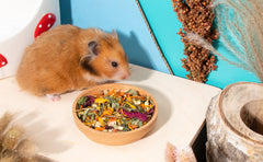 Niteangel Hamster Food & Treats Toy - Small Animal Natural Food for Syrian Golden Hamsters or Other Small-Sized Pets