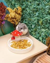 Niteangel Hamster Snack Toy - Natural treats for small animals for dwarf Syria robot hamsters, gerbils, rats or other small pets