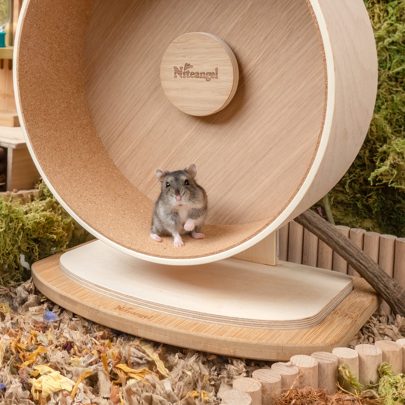 Niteangel Anti-Slide Hamster Wheel Platform - Niteangel Pet CA