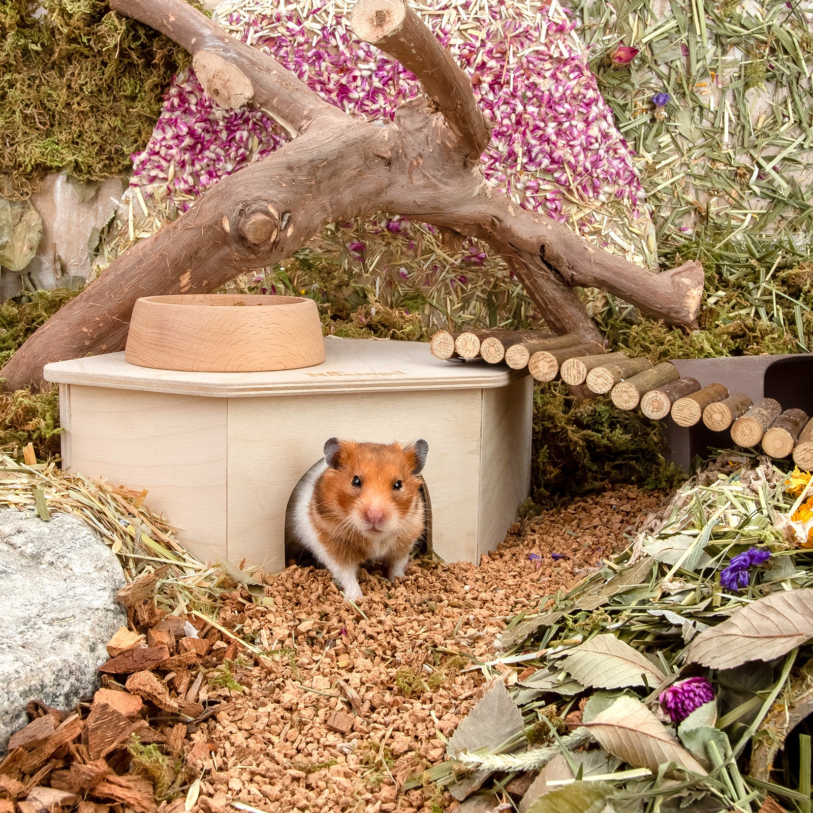Niteangel Birch Chamber-Maze Hamster Hideout〔Triangle-Shaped Hamster Hut〕 - Niteangel Pet CA