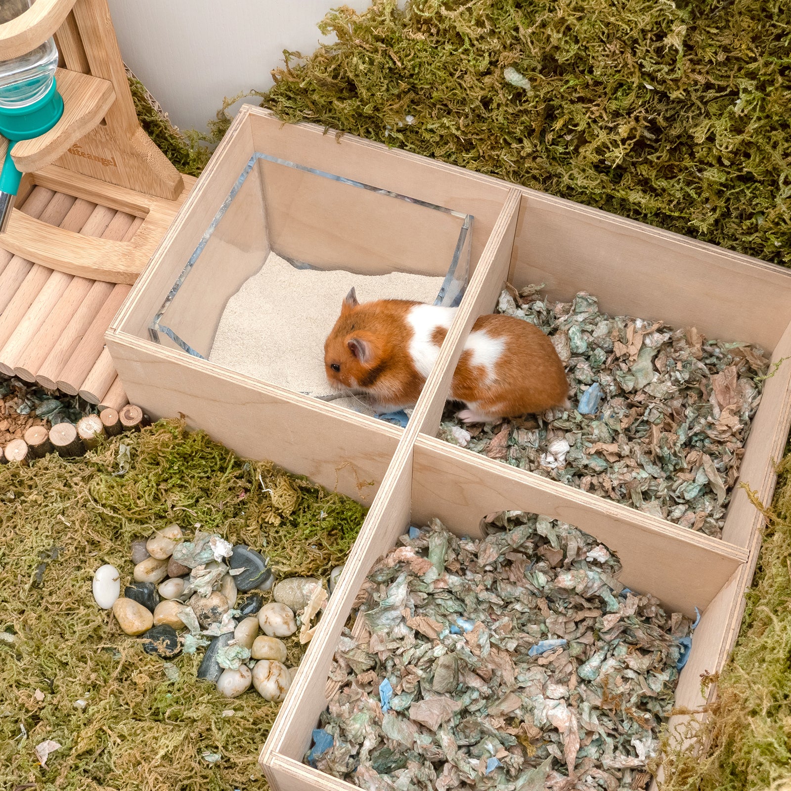 Niteangel Small Animal Multi-Chamber Sandbath - Niteangel Pet CA