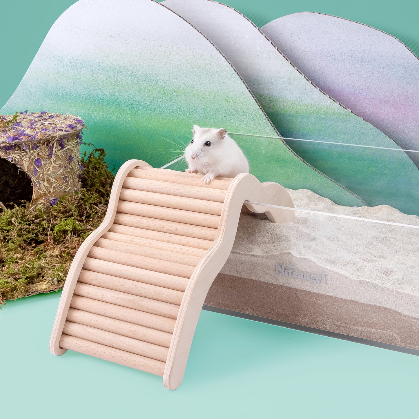 Niteangel Hamster Climbing Bridge Ladder for Hamster Aryclic SandBath Box or Other Small-Sized Pets - Niteangel Pet CA