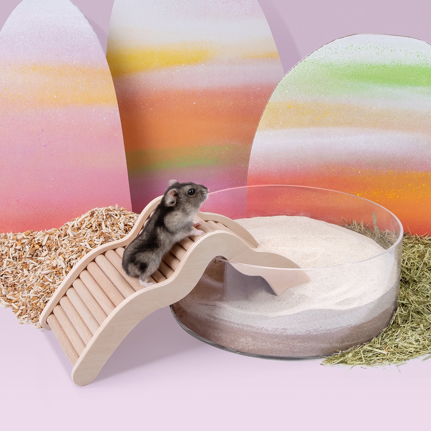 Niteangel Hamster Climbing Bridge Ladder for Hamster Aryclic SandBath Box or Other Small-Sized Pets - Niteangel Pet CA