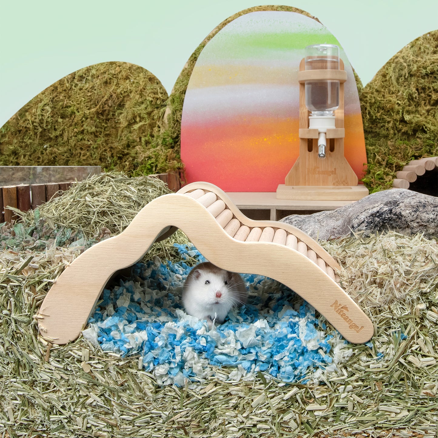 Niteangel Hamster Climbing Bridge Ladder for Hamster Aryclic SandBath Box or Other Small-Sized Pets - Niteangel Pet CA