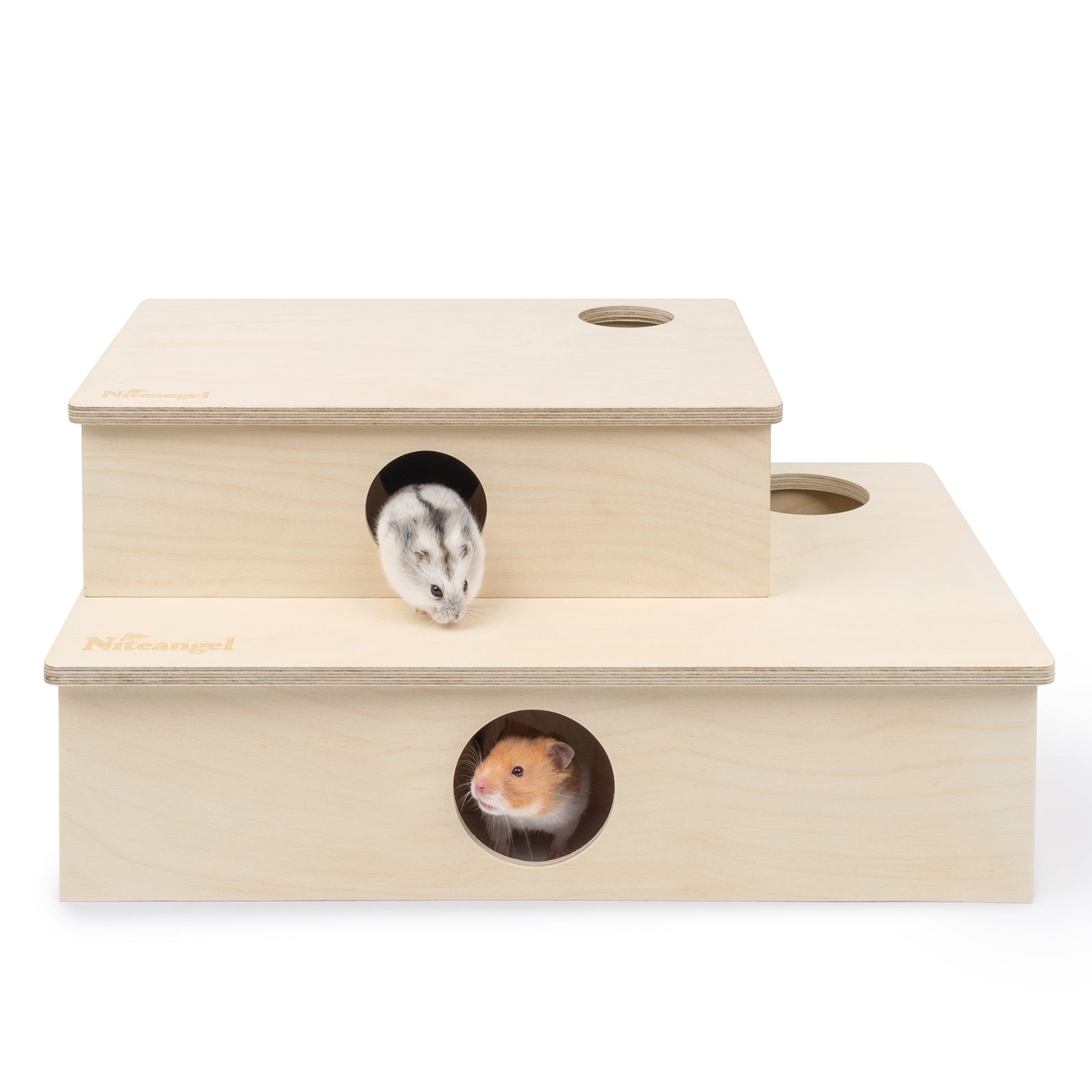 Niteangel Multi-Chamber Hamster House Maze: Multi-Room Hideouts & Tunnel Exploring Toys〔6-Room〕 - Niteangel Pet CA
