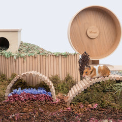 Niteangel Hamster Climbing Ladder Beech Bendy Bridge for Small Animals - Niteangel Pet CA