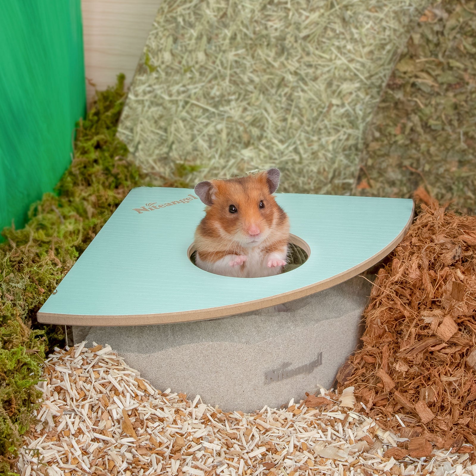 Niteangel Small Animal Sand-Bath Box - Acrylic Critter's Sand Bath Shower Room & Digging Sand Container〔Triangle〕 - Niteangel Pet CA