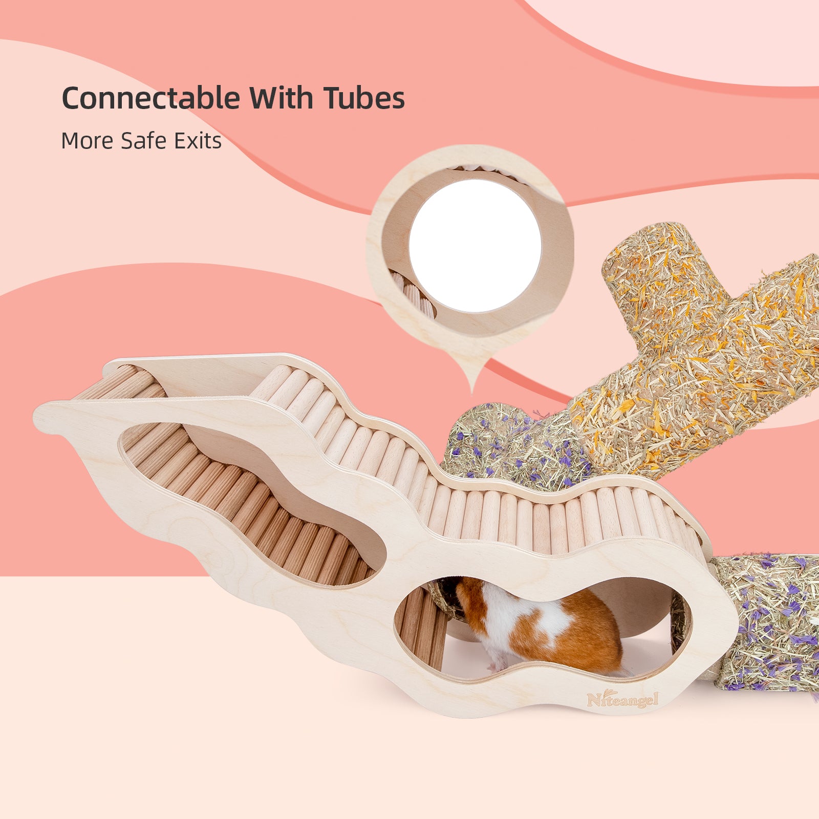 Niteangel Hamster Underground Tunnel w/ Climbing Ladder - Niteangel Pet CA