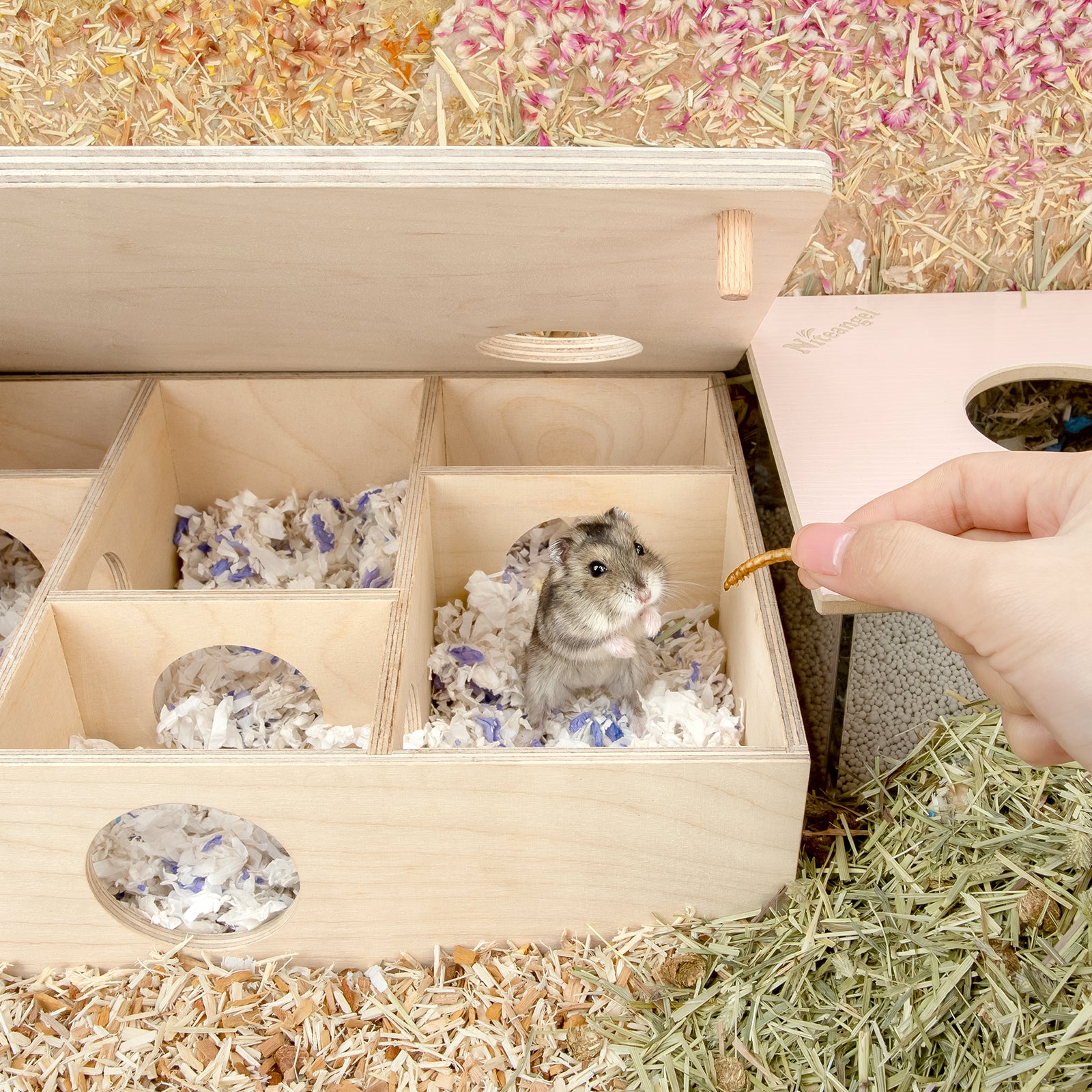 Niteangel Multi-Chamber Hamster House Maze: Multi-Room Hideouts & Tunnel Exploring Toys〔6-Room〕 - Niteangel Pet CA