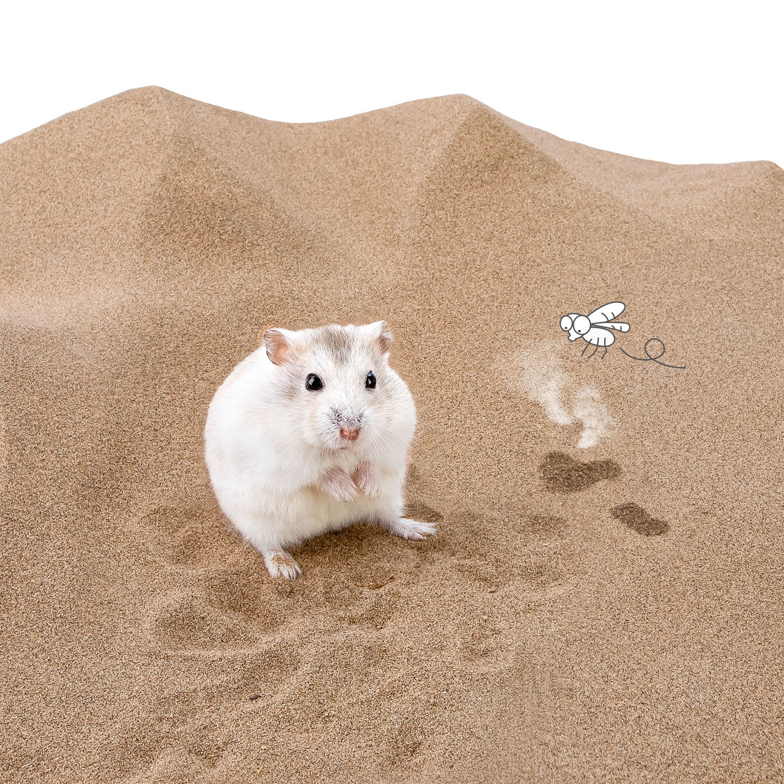 Niteangel Desert Bathing Desert Sand for Hamster Gerbil Mice or Other Small Pets - Niteangel Pet CA