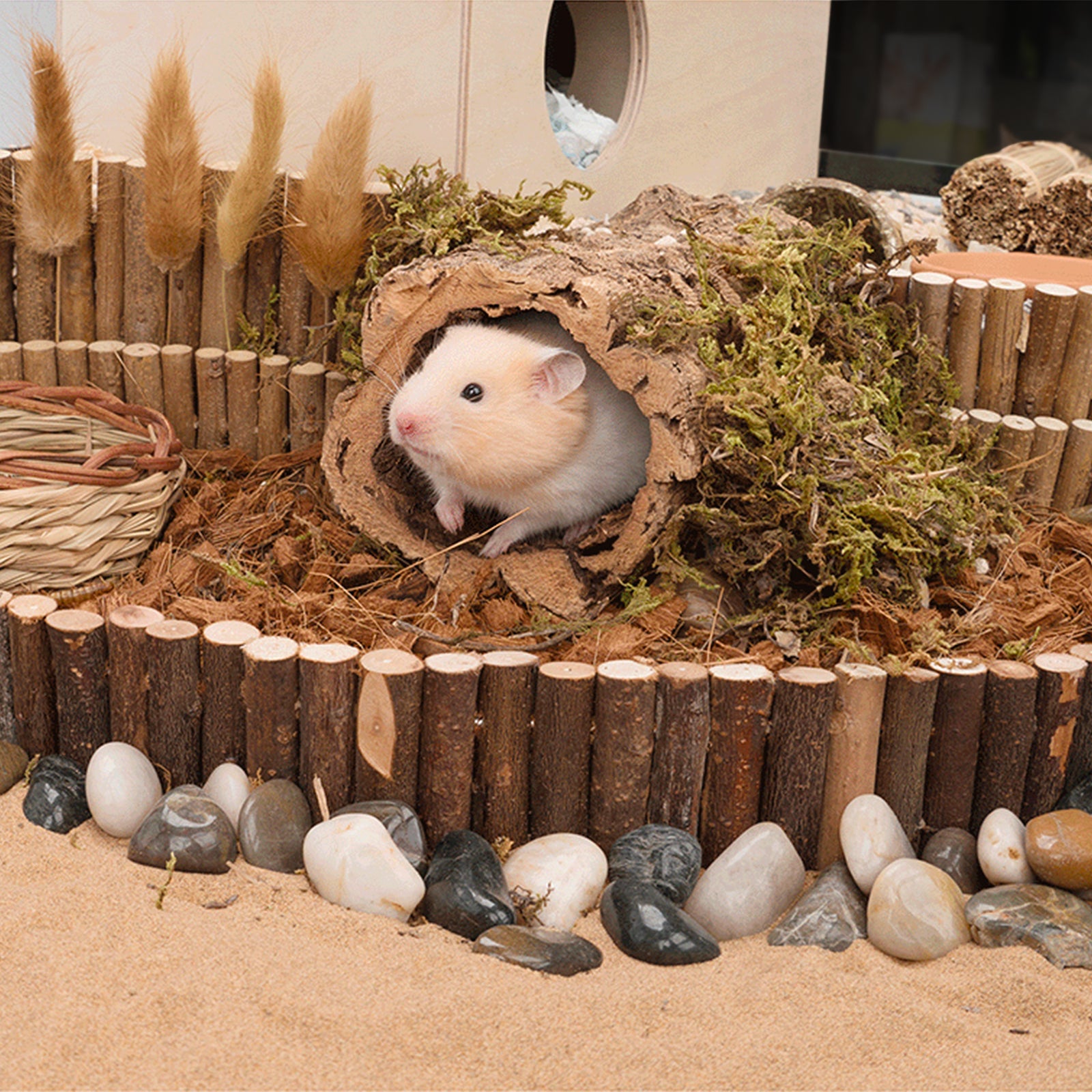 Niteangel Hamster Suspension Bridge Toy - Long Climbing Ladder - Niteangel Pet CA