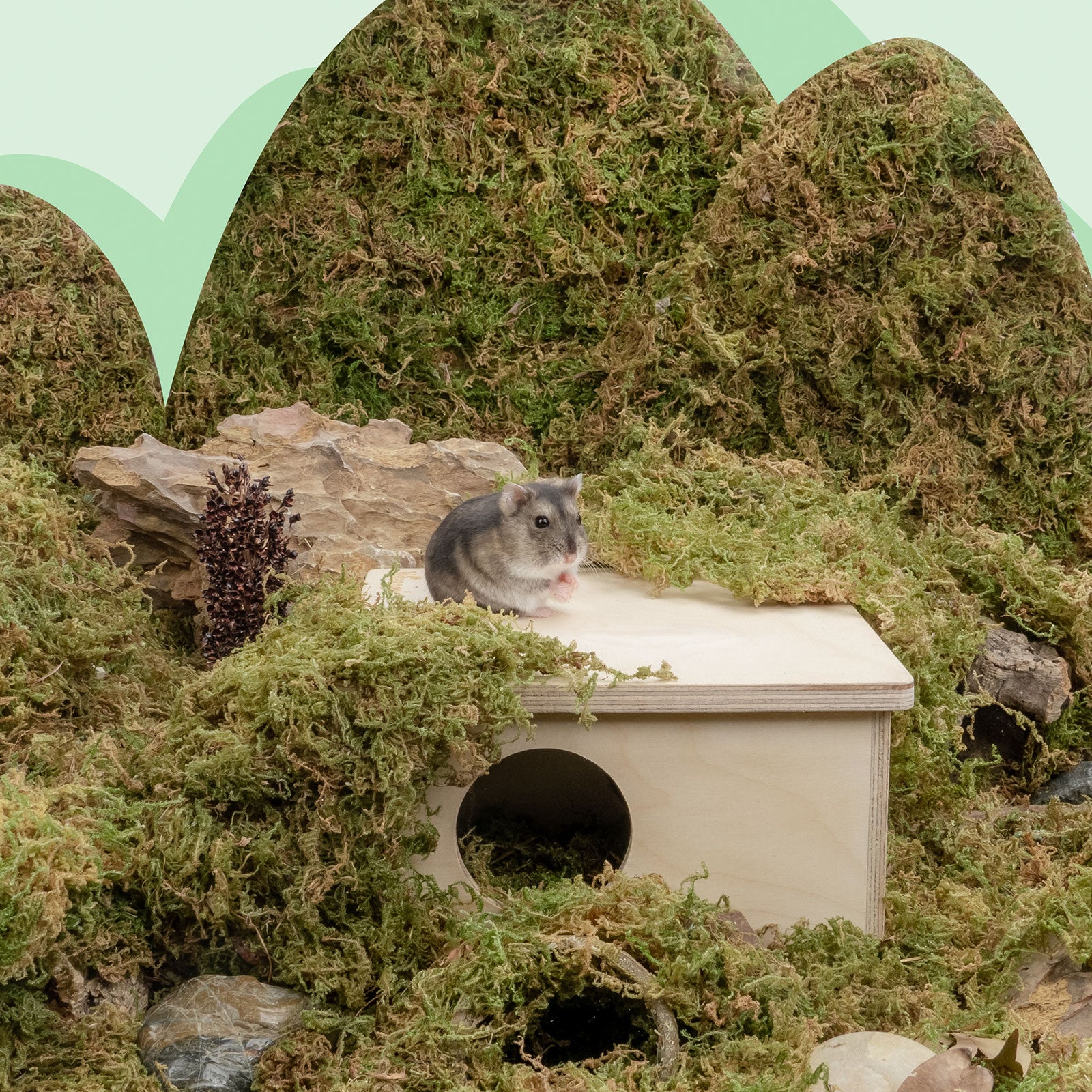 Niteangel Forest Moss Soft Natural Moss Bedding Nesting for Small Pet - Niteangel Pet CA