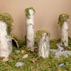 Niteangel Forest Moss Soft Natural Moss Bedding Nesting for Small Pet - Niteangel Pet CA