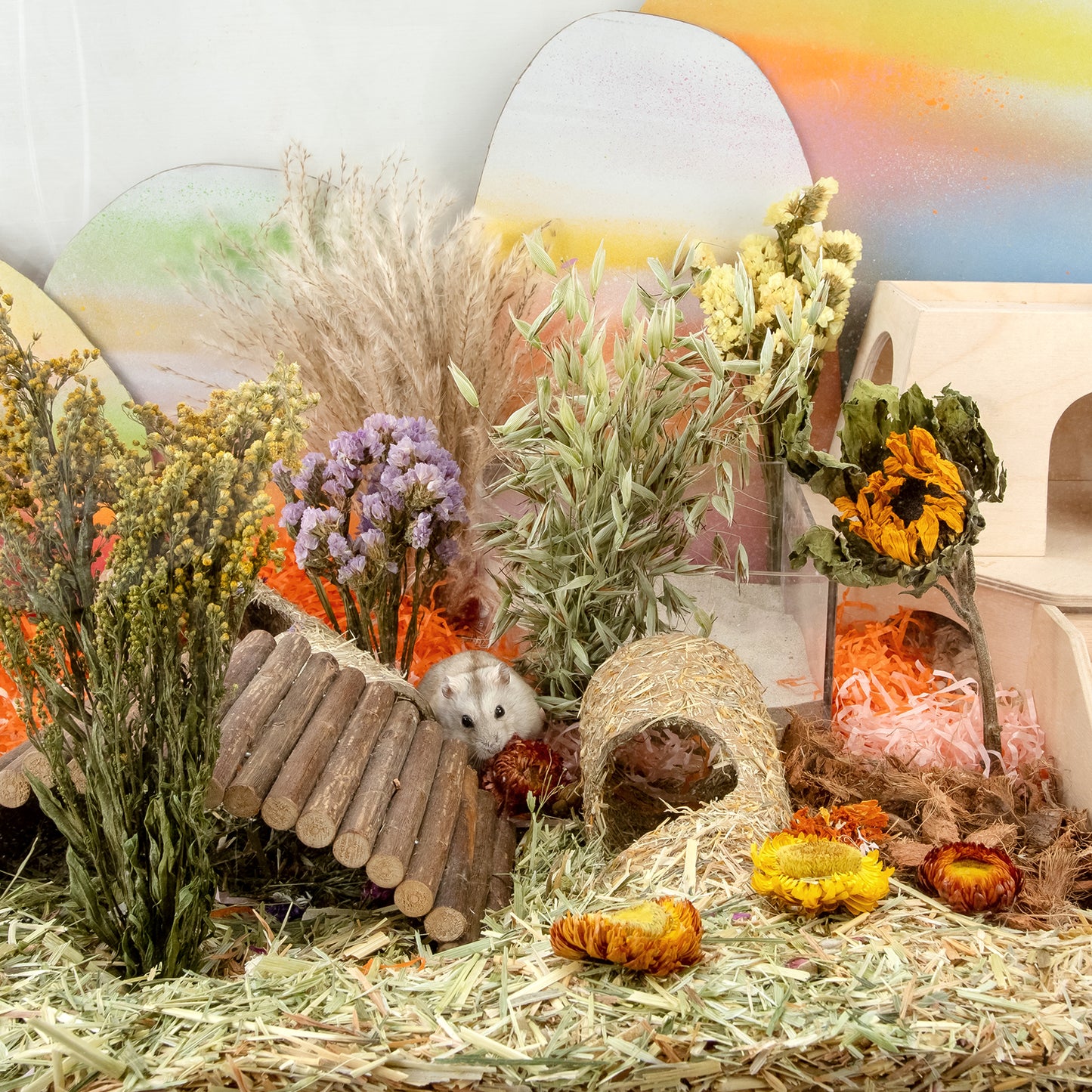 Niteangel harvest wind dried flowers and sprays for hamsters gerbils mice - Niteangel Pet CA
