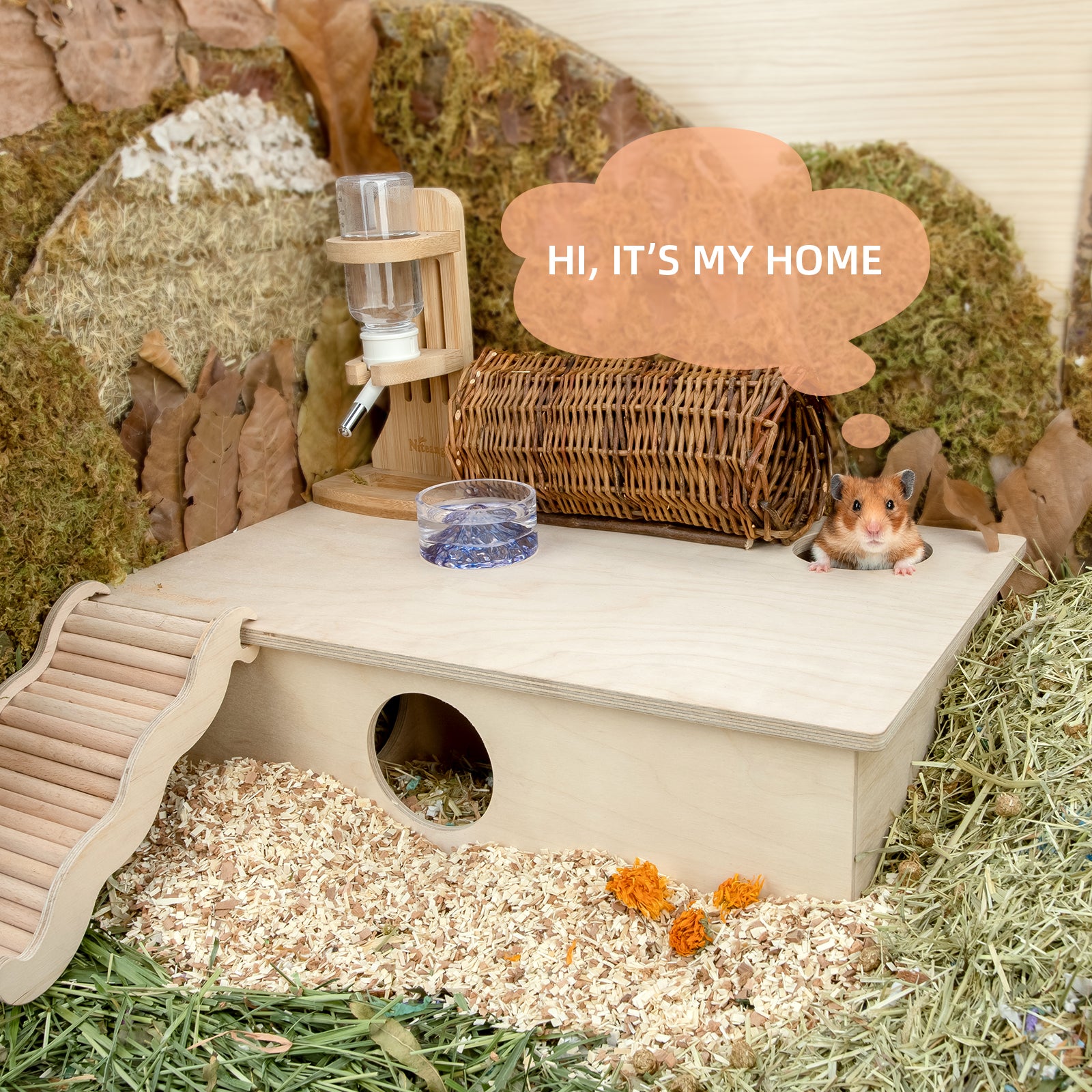 Niteangel Multi-Chamber Hamster House Maze: Multi-Room Hideouts & Tunnel Exploring Toys〔6-Room〕 - Niteangel Pet CA