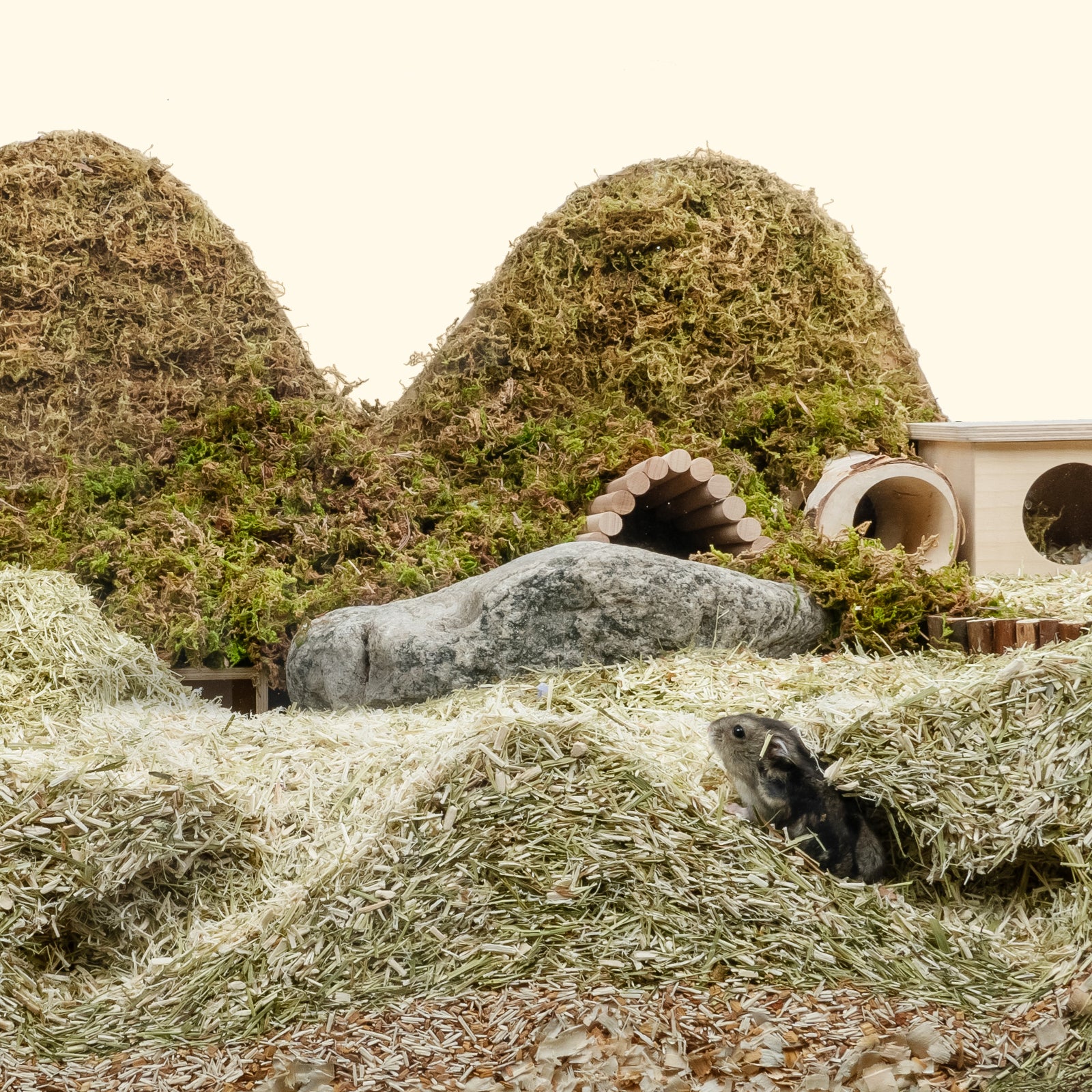 Niteangel Cozy Mix Natural & Soft Hamster Bedding1.0 - Niteangel Pet CA