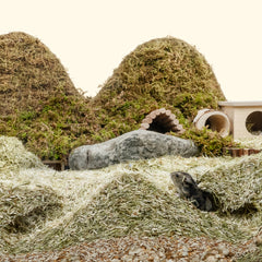 Niteangel Cozy Mix Natural & Soft Hamster Bedding1.0 - Niteangel Pet CA