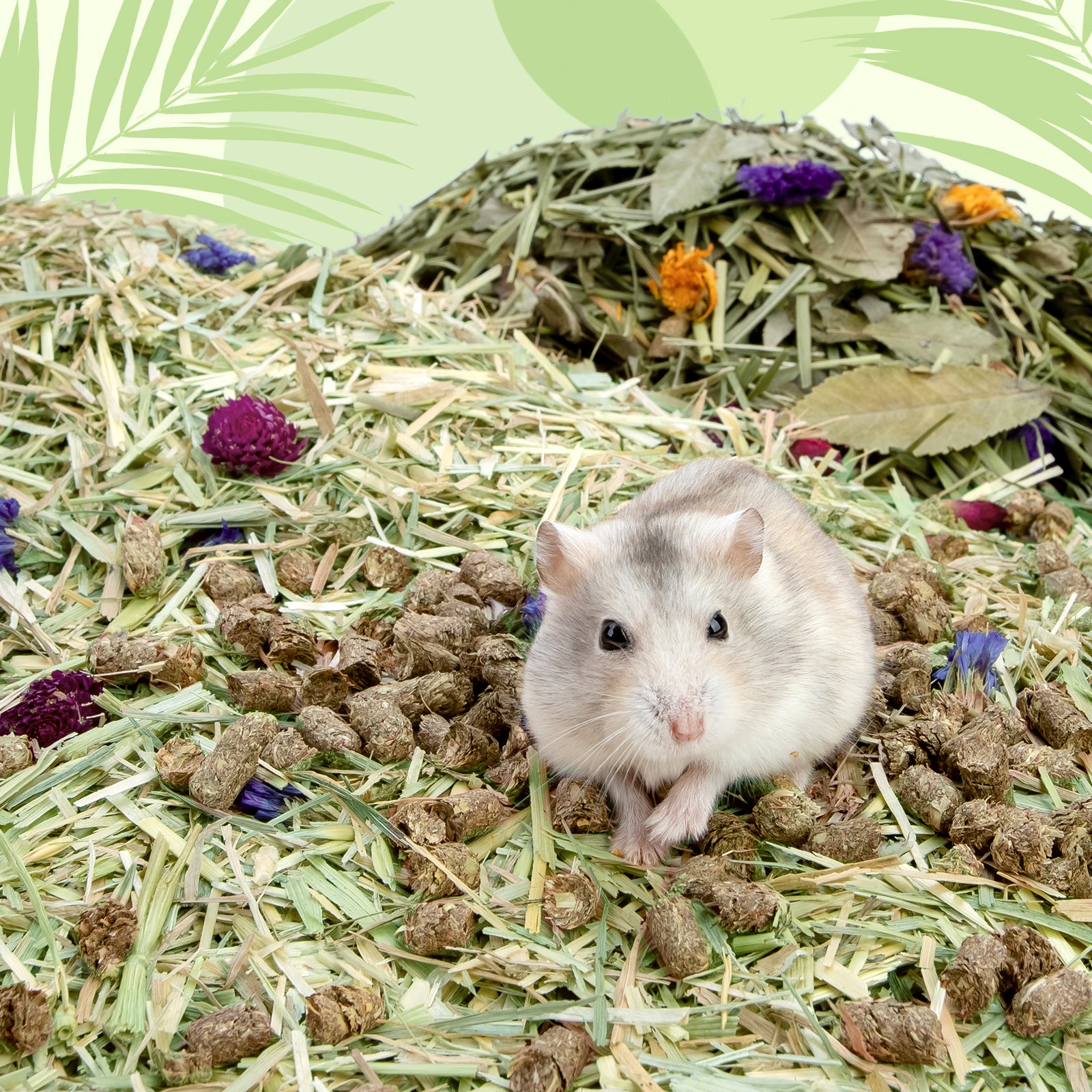 Niteangel Natural & Soft Hamster Bedding〔Forest Floor Series〕 - Niteangel Pet CA