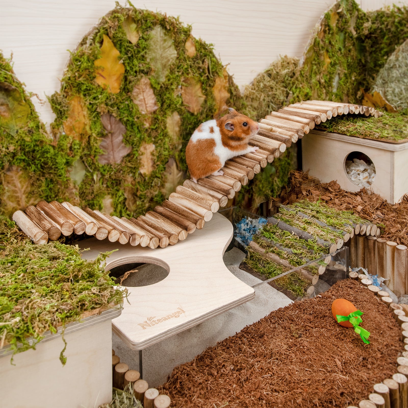 Niteangel Hamster Suspension Bridge Toy - Long Climbing Ladder - Niteangel Pet CA