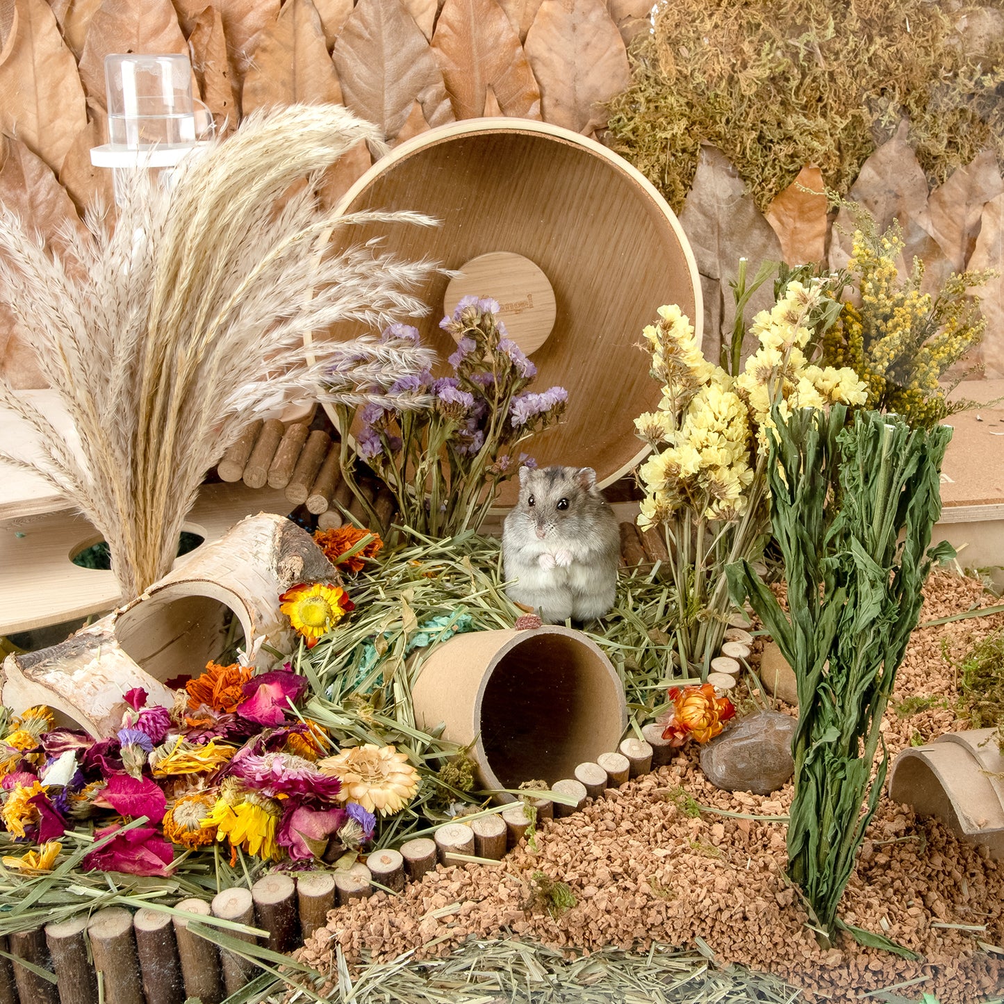 Niteangel harvest wind dried flowers and sprays for hamsters gerbils mice - Niteangel Pet CA