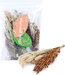 Niteangel harvest wind dried flowers and sprays for hamsters gerbils mice - Niteangel Pet CA