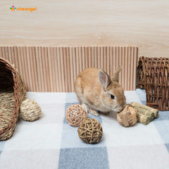 Niteangel Small Animal Activity Toy, Fun Pet Balls (Pack of 4)