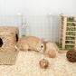 Niteangel Aspen Shaving Hamster Beddings for Syrian Dwarf Hamster Gerbil Mice Degu Rat Rabbit Bunny Guinea Pig Chinchilla Hedgehog or Other Small Pets