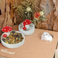 Niteangel Hamster Feeding & Water Bowls- Mushroom Ceramics Series Food Dish Feeding Bowls for Dwarf Syrian Hamsters Gerbils Mice Rats or Other Similar-Sized Small Pets