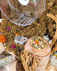 Niteangel Hamster Food & Treats Toy - Small Animal Natural Food for Syrian Golden Hamsters or Other Small-Sized Pets