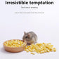 Niteangel Hamster Snack & Treats Toy - Small Animal Natural Treat for Dwarf Syrian Robo Hamsters Gerbils Mice Lemmings Degus or Other Small-Sized Pets