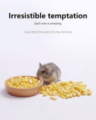 Niteangel Hamster Snack & Treats Toy - Small Animal Natural Treat for Dwarf Syrian Robo Hamsters Gerbils Mice Lemmings Degus or Other Small-Sized Pets