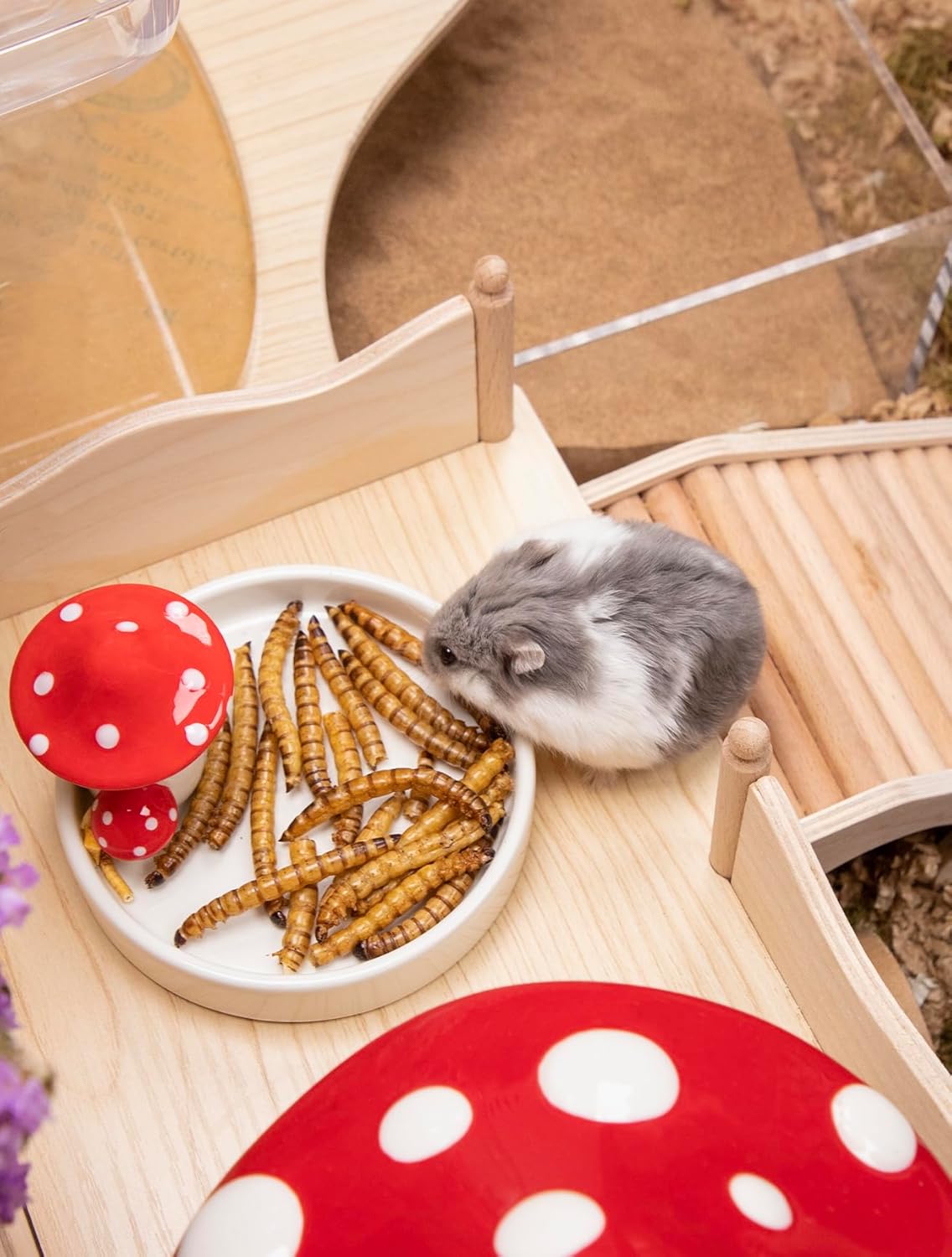 Niteangel Hamster Snack Toy - Natural treats for small animals for dwarf Syria robot hamsters, gerbils, rats or other small pets