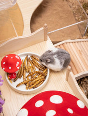 Niteangel Hamster Snack Toy - Natural treats for small animals for dwarf Syria robot hamsters, gerbils, rats or other small pets