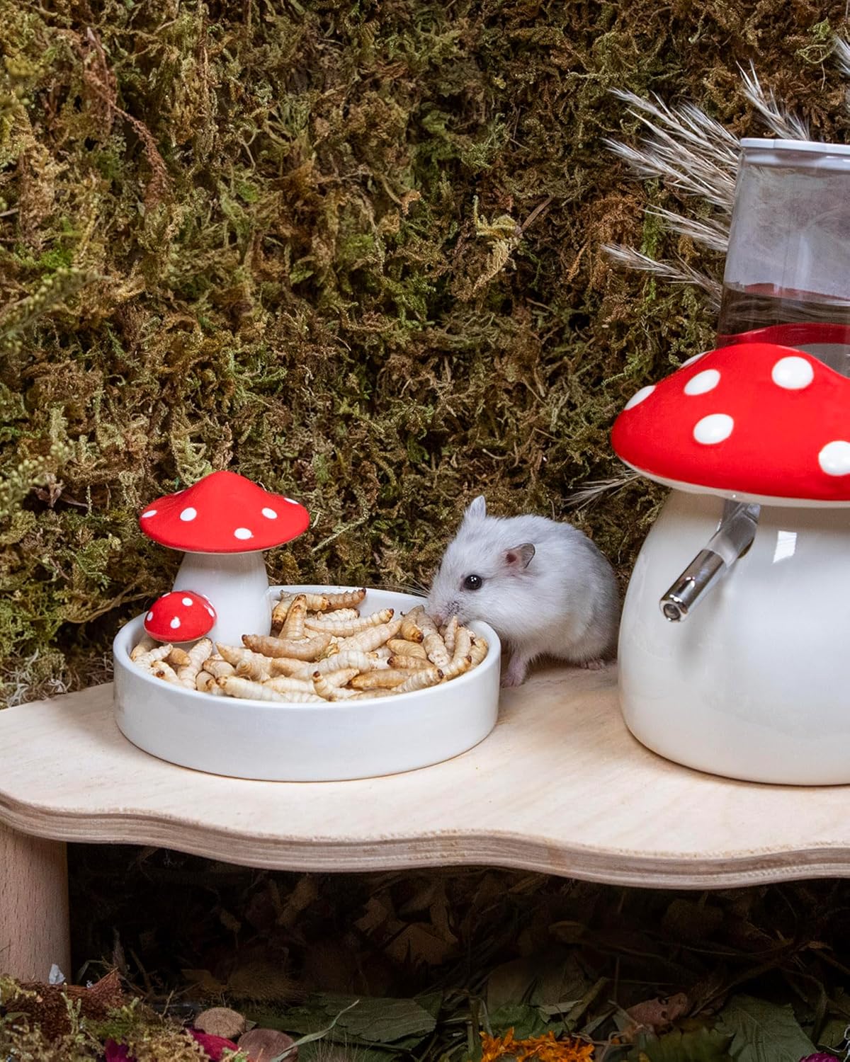 Niteangel Hamster Snack Toy - Natural treats for small animals for dwarf Syria robot hamsters, gerbils, rats or other small pets