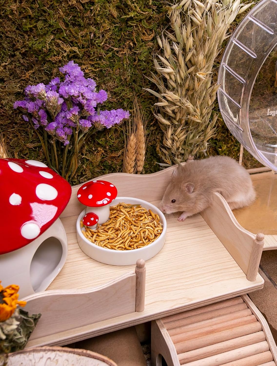 Niteangel Hamster Snack Toy - Natural treats for small animals for dwarf Syria robot hamsters, gerbils, rats or other small pets