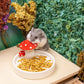Niteangel Hamster Snack Toy - Natural treats for small animals for dwarf Syria robot hamsters, gerbils, rats or other small pets