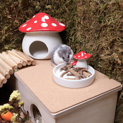 Niteangel Hamster Snack & Treats Toy - Small Animal Natural Treat for Dwarf Syrian Robo Hamsters Gerbils Mice Lemmings Degus or Other Small-Sized Pets