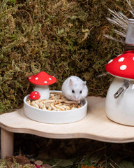 Niteangel Hamster Snack Toy - Natural treats for small animals for dwarf Syria robot hamsters, gerbils, rats or other small pets