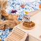 Niteangel Hamster Snack Toy - Natural treats for small animals for dwarf Syria robot hamsters, gerbils, rats or other small pets