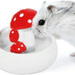 Niteangel Hamster Feeding & Water Bowls- Mushroom Ceramics Series Food Dish Feeding Bowls for Dwarf Syrian Hamsters Gerbils Mice Rats or Other Similar-Sized Small Pets