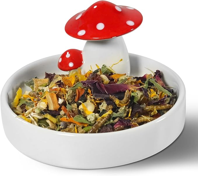 Niteangel Hamster Feeding & Water Bowls- Mushroom Ceramics Series Food Dish Feeding Bowls for Dwarf Syrian Hamsters Gerbils Mice Rats or Other Similar-Sized Small Pets