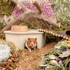 Niteangel Birch Chamber-Maze Hamster Hideout〔Triangle-Shaped Hamster Hut〕 - Niteangel Pet CA