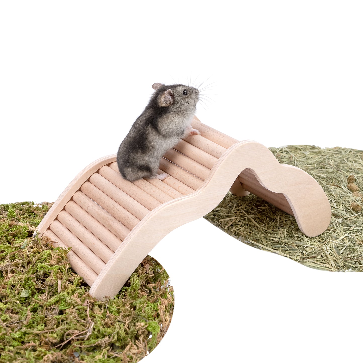 Niteangel Hamster Climbing Bridge Ladder for Hamster Aryclic SandBath Box or Other Small-Sized Pets - Niteangel Pet CA