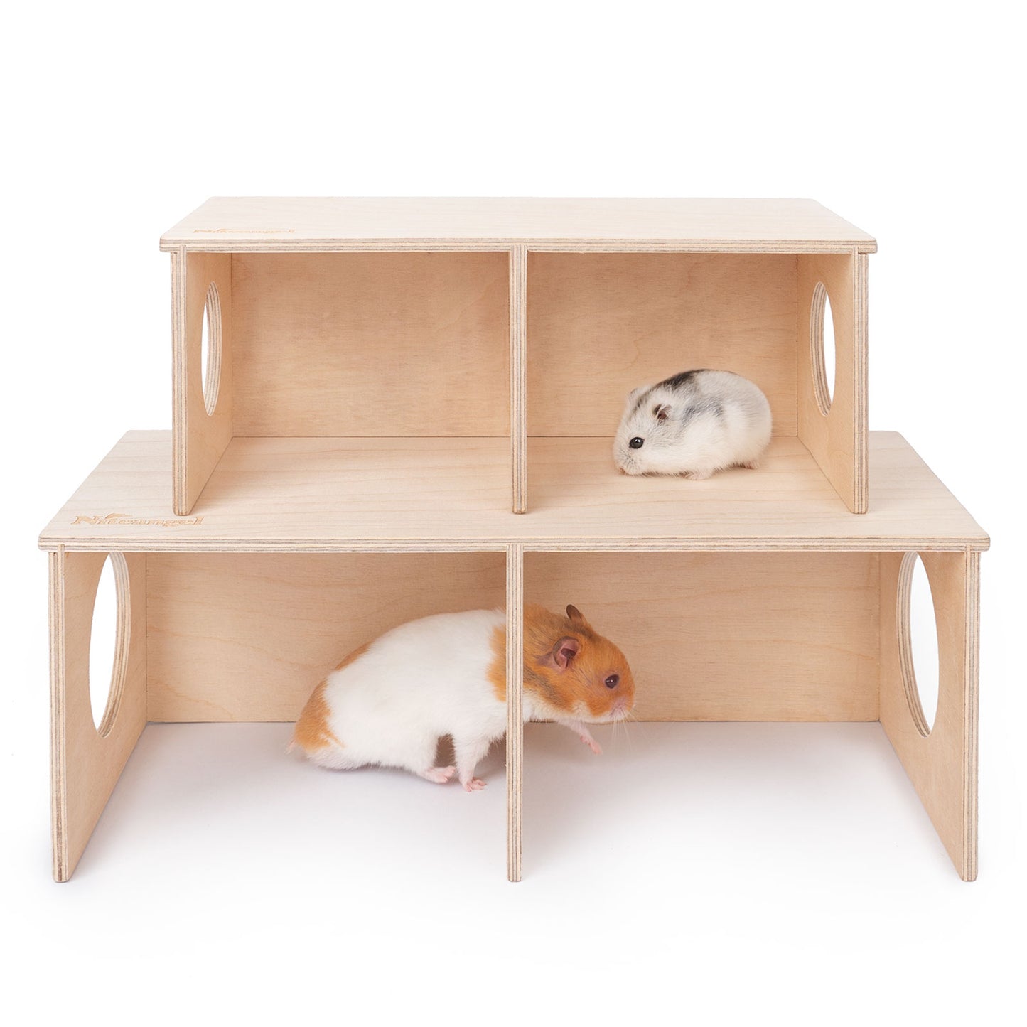 Niteangel Hamster Secret Peep Shed 2-Chamber Hideout & Tunnel Exploring Toys - Niteangel Pet CA