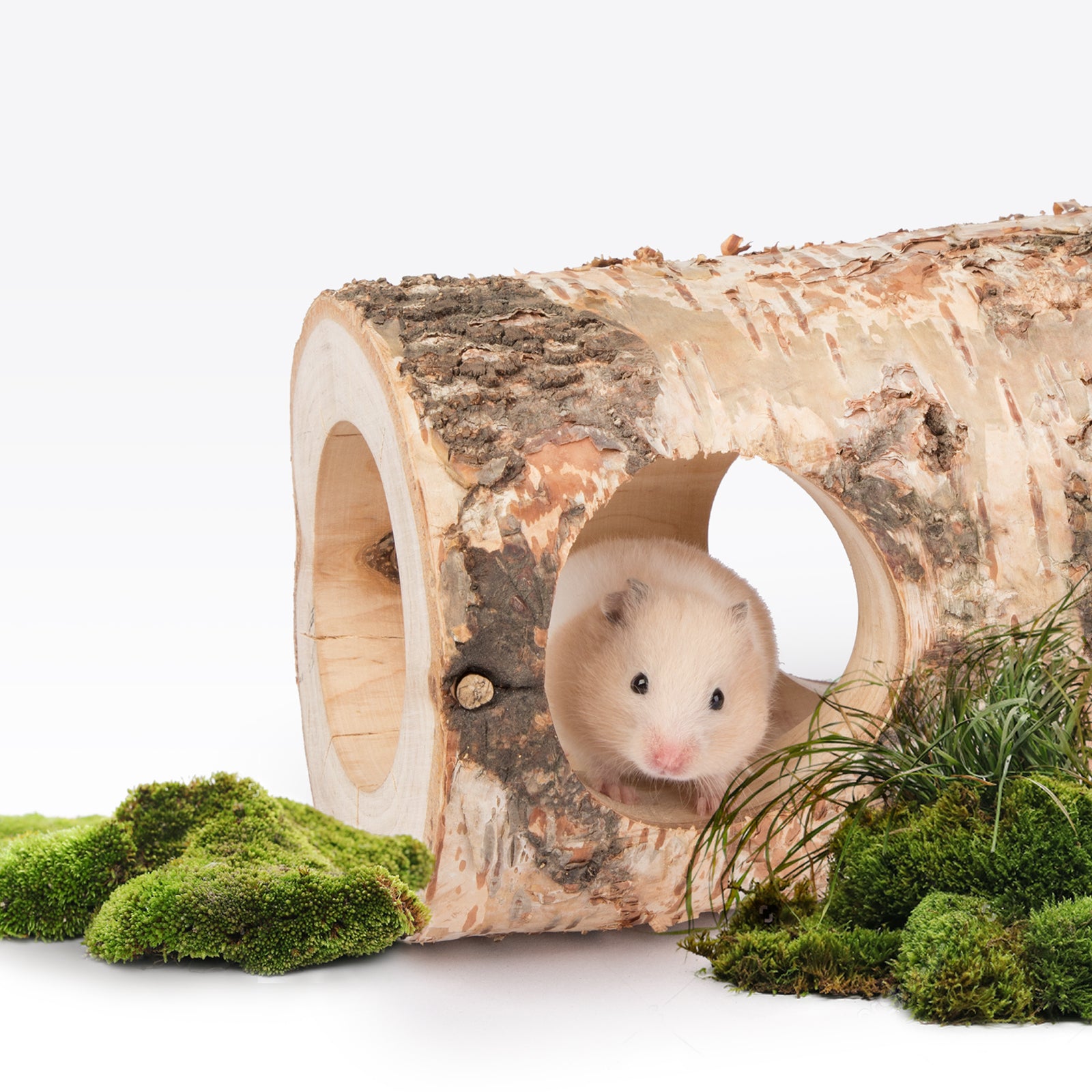 Niteangel Hamster Hideout Tree Trunk Tunnel - Niteangel Pet CA