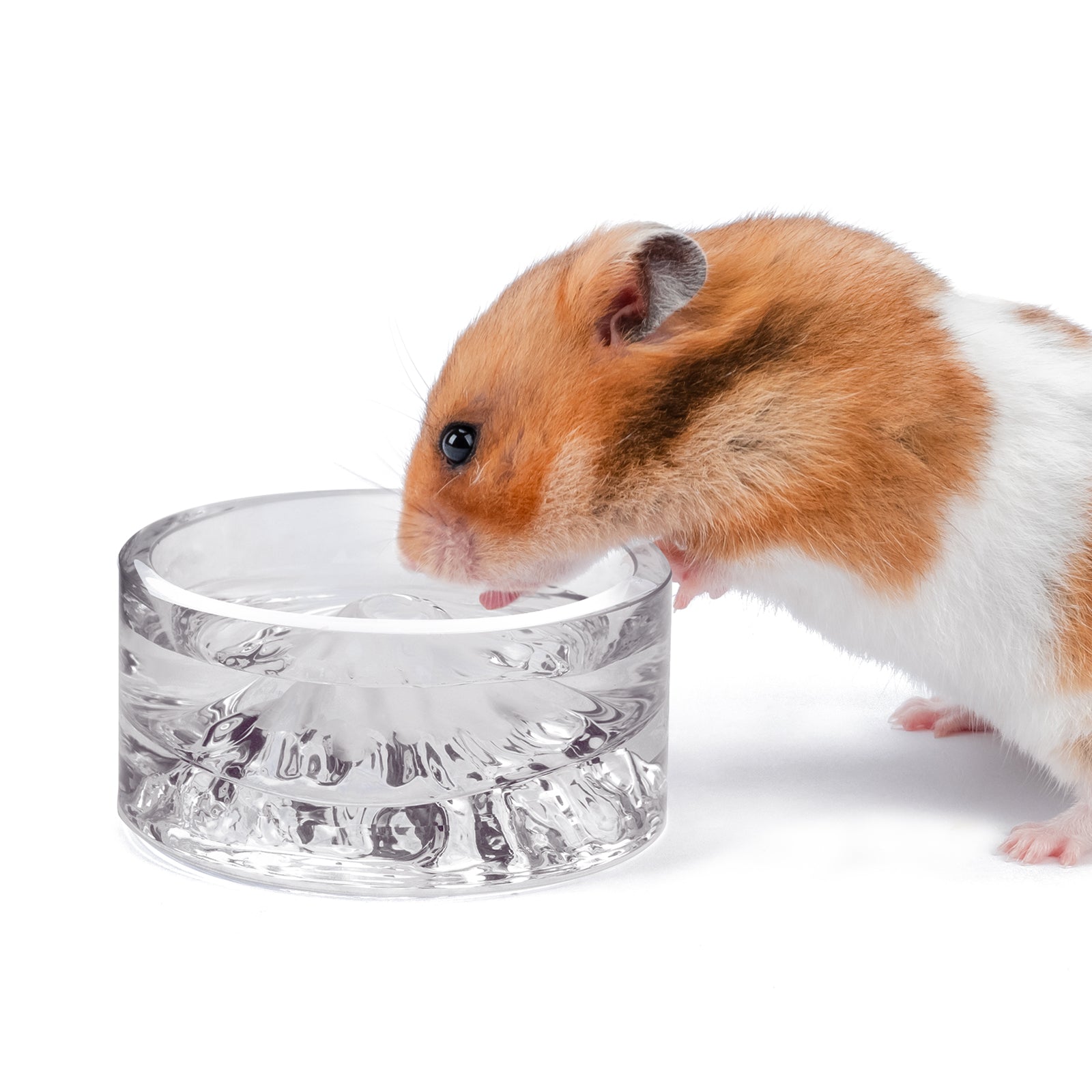 Niteangel Hamster Feeding & Water Bowls - Niteangel Pet CA