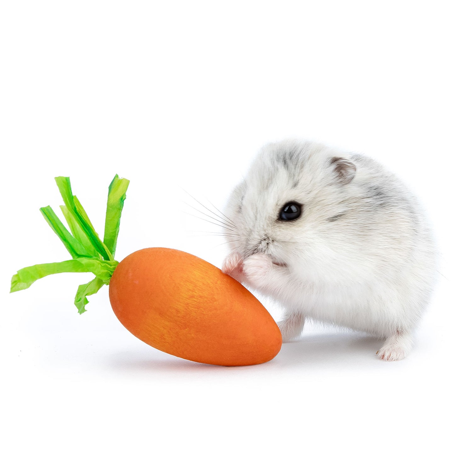 Niteangel Hamster Chew & Decor Toys:Carrot-Shape (Pack of 6) - Niteangel Pet CA