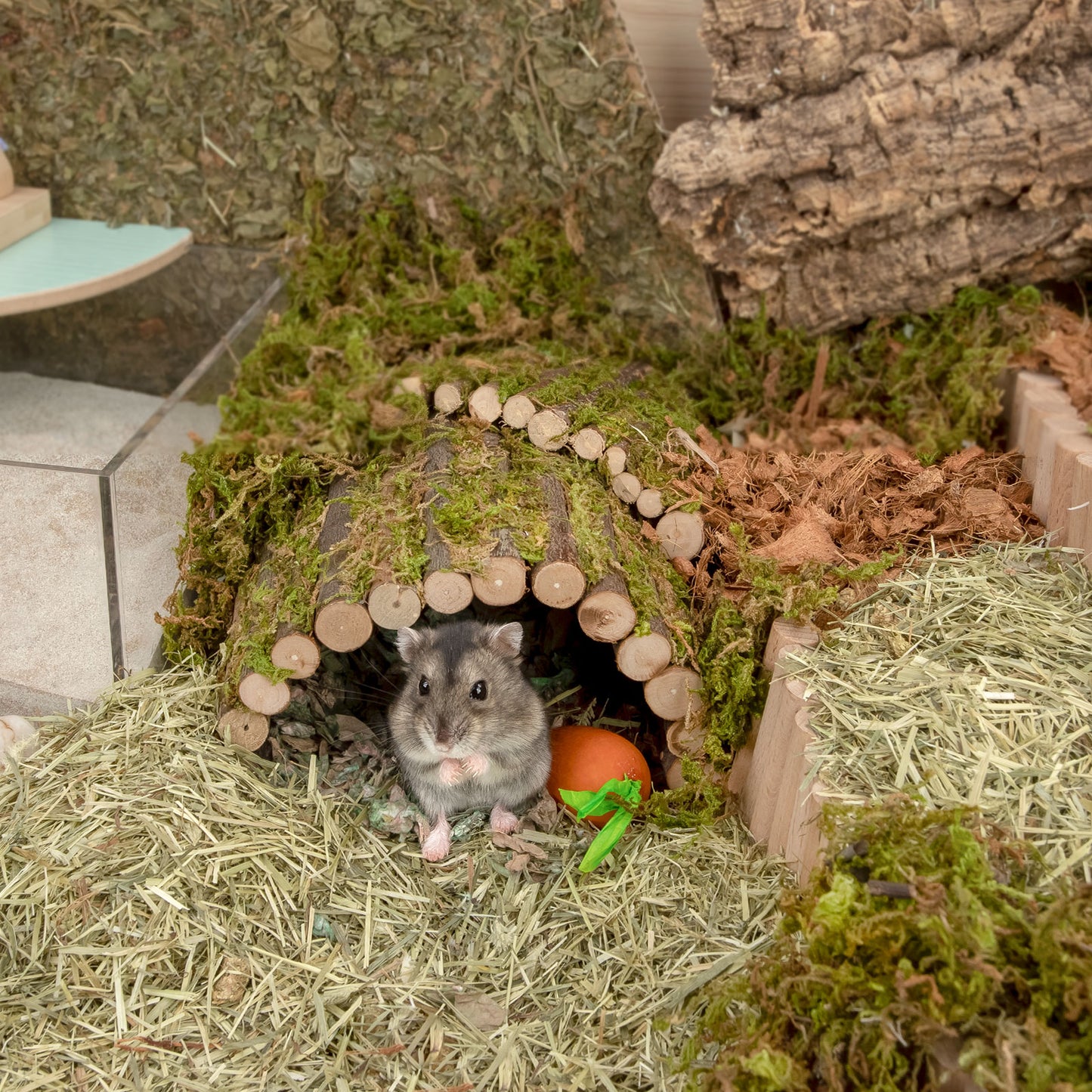 Niteangel Wooden Ladder Bridge, Hamster Mouse Rat Rodents Toy - Niteangel Pet CA